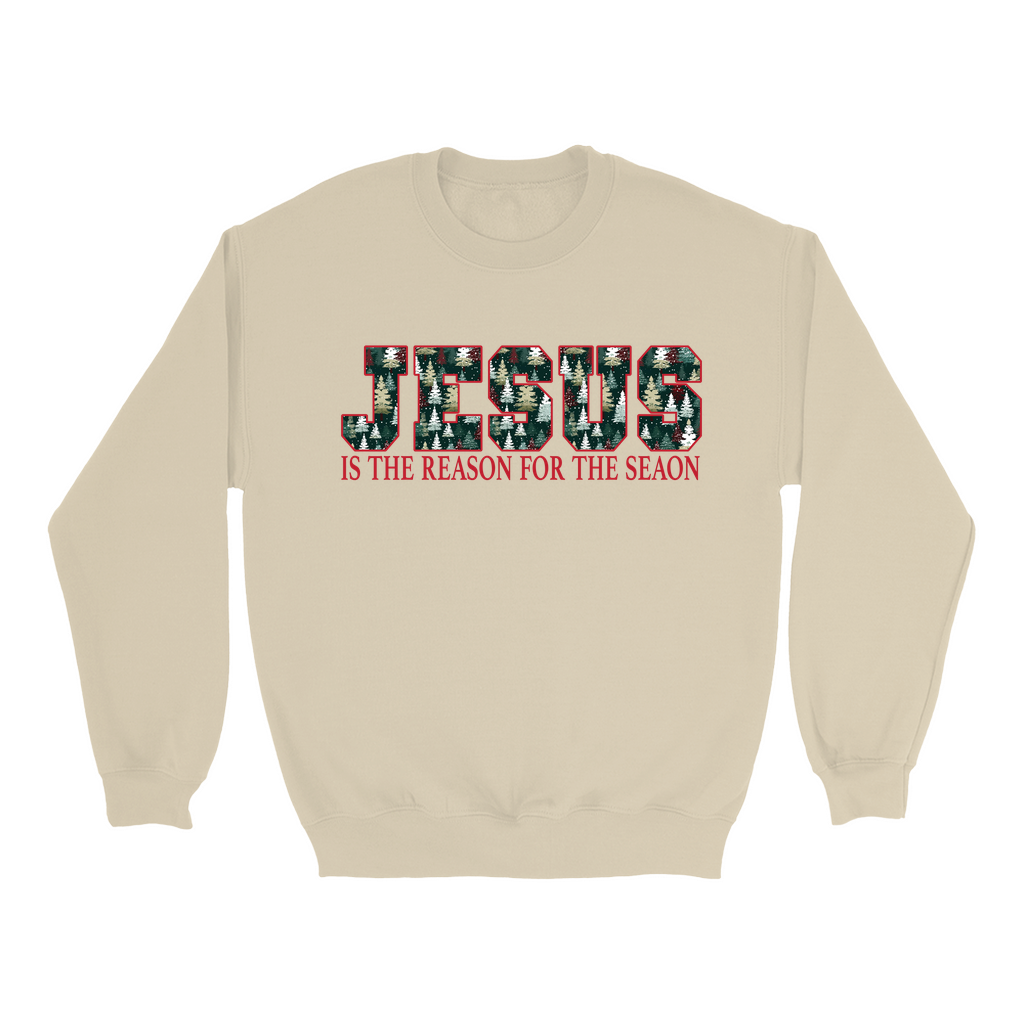 Jesus Is The Reason For The Season Sweatshirts