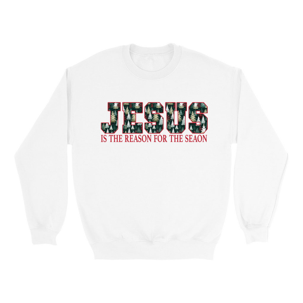 Jesus Is The Reason For The Season Sweatshirts